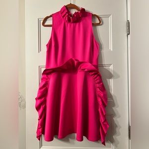 Ted Baker Dress Hot Pink 4 (10)